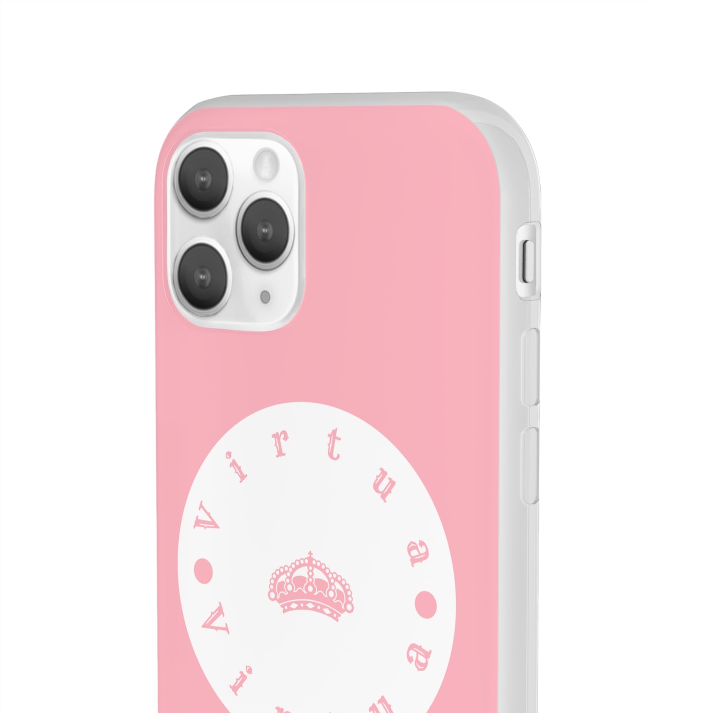 Virtua cases "salmon river"