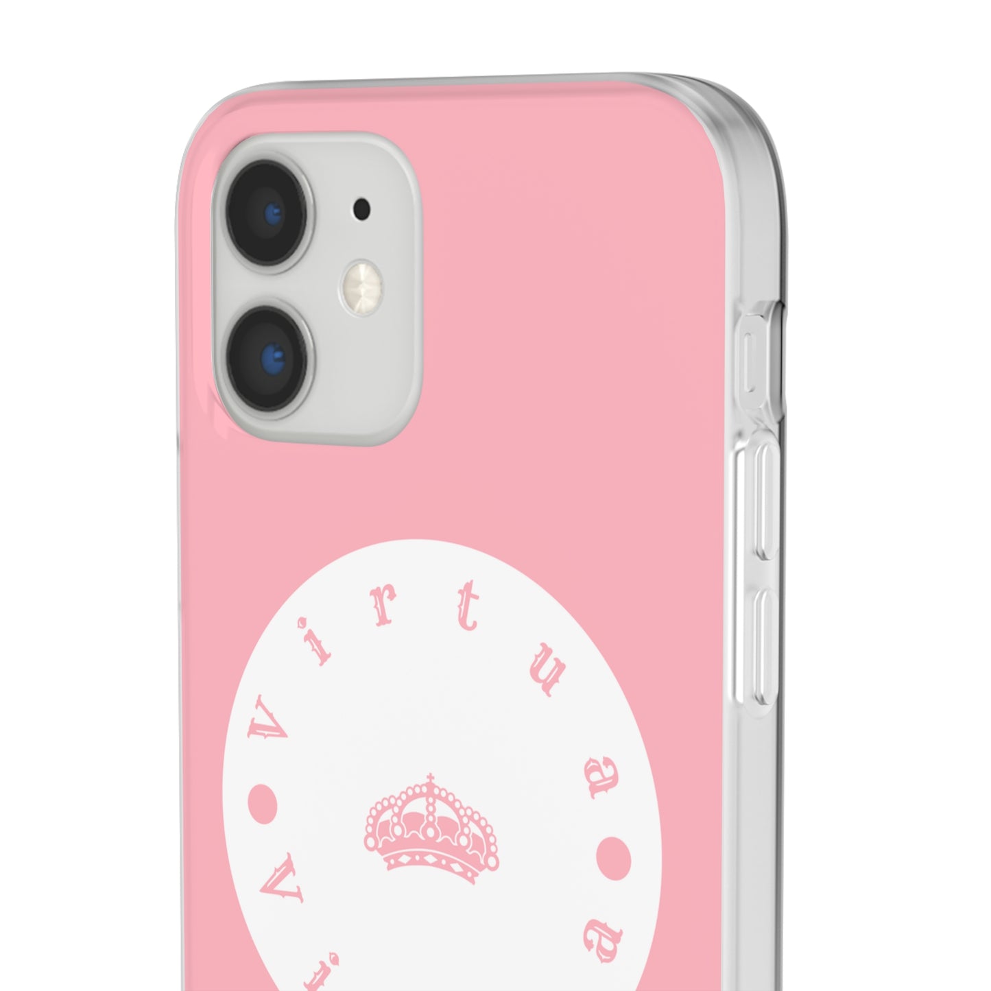 Virtua cases "salmon river"