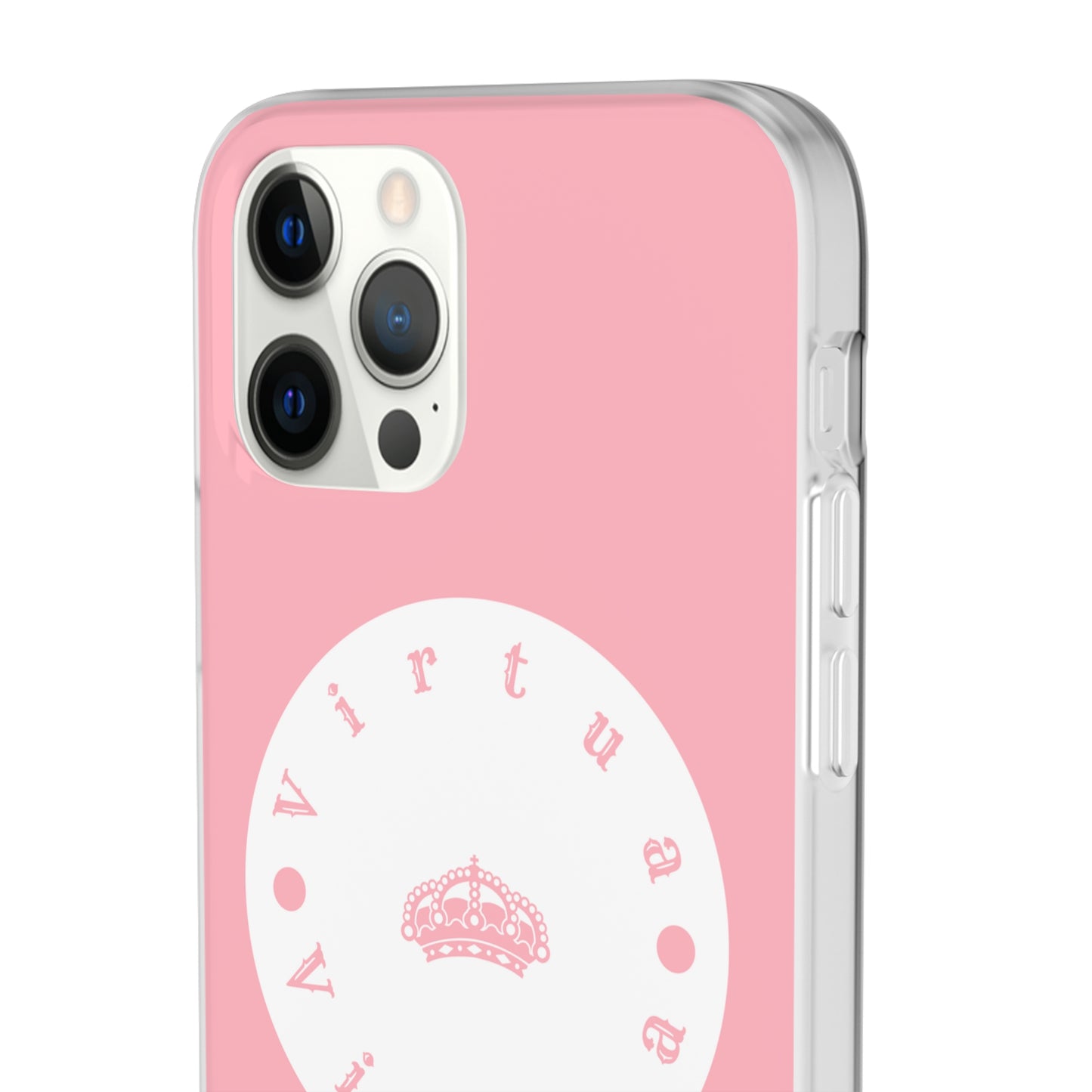 Virtua cases "salmon river"