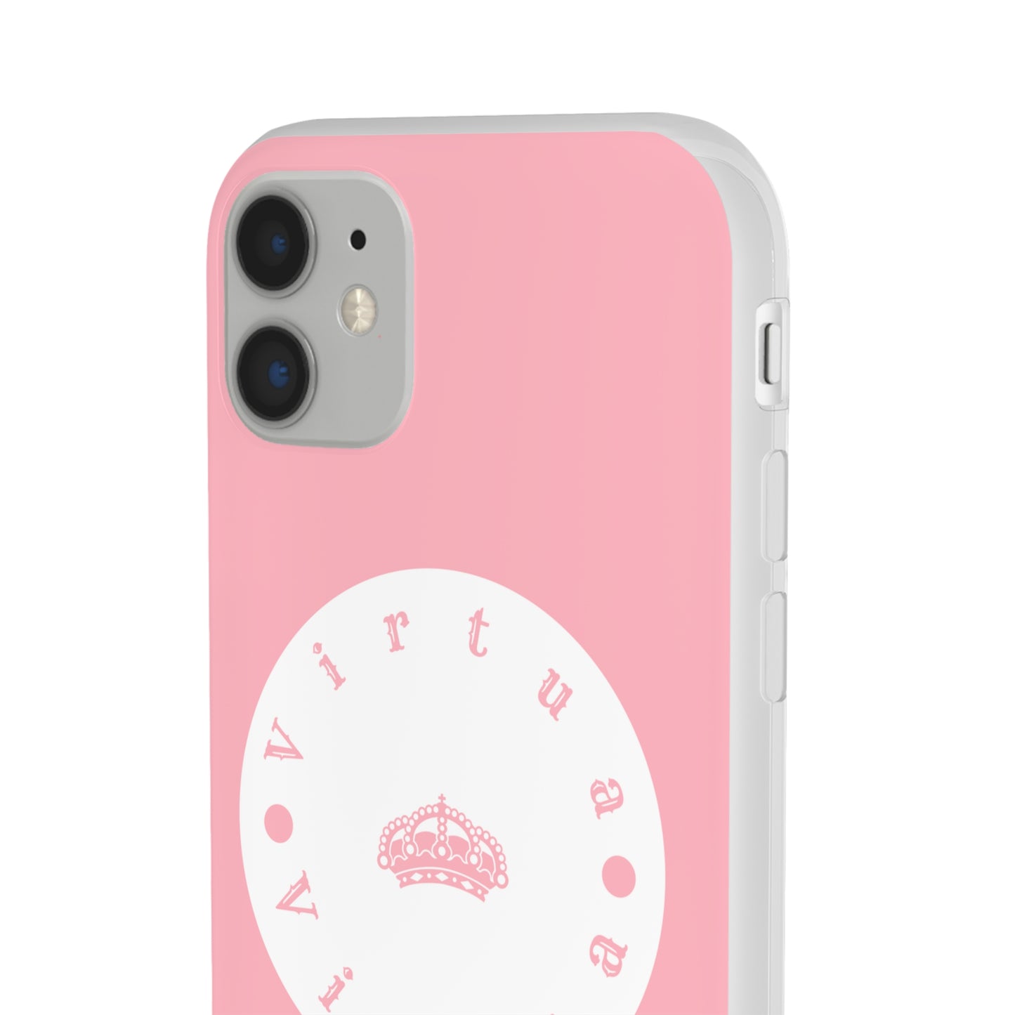 Virtua cases "salmon river"