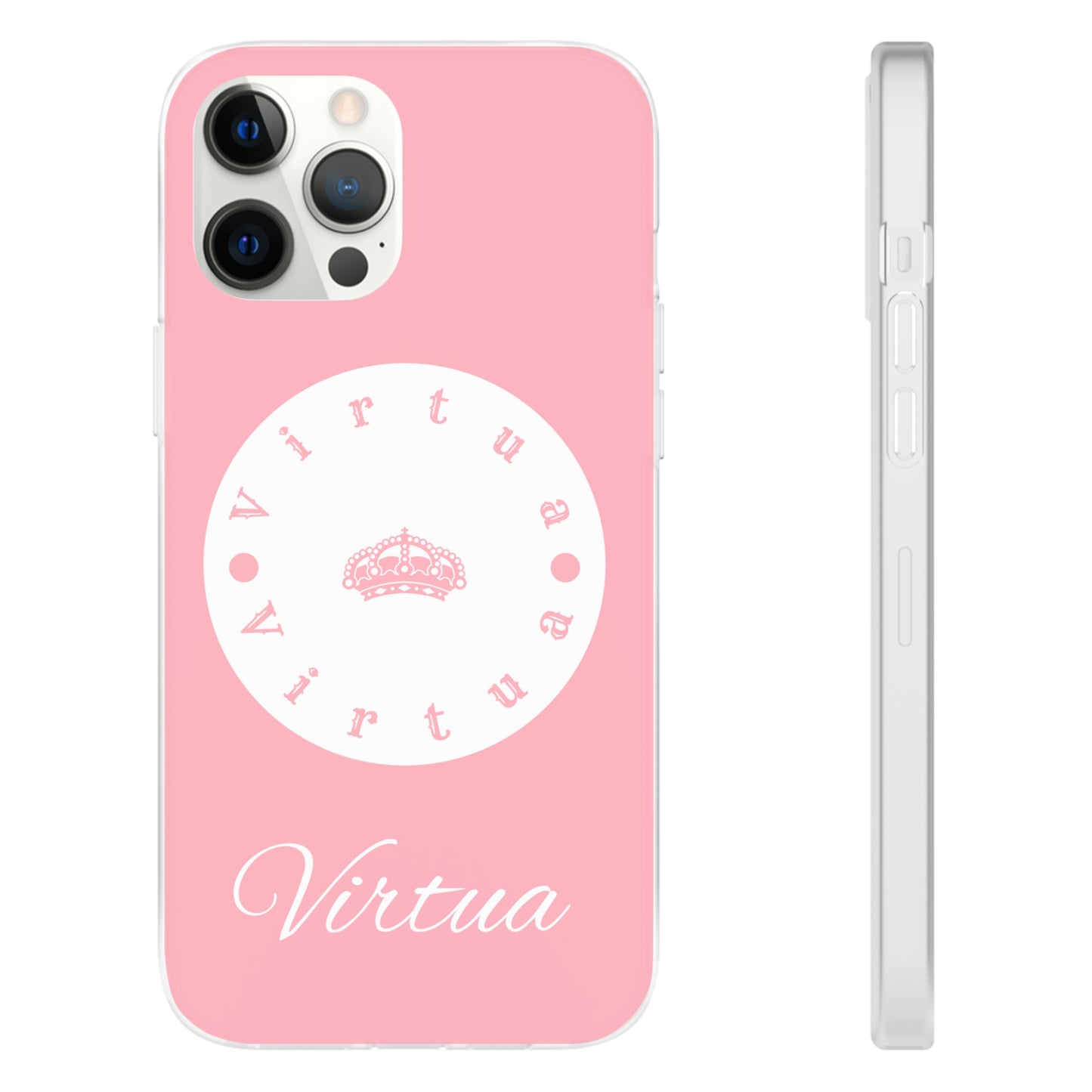 Virtua cases "salmon river"