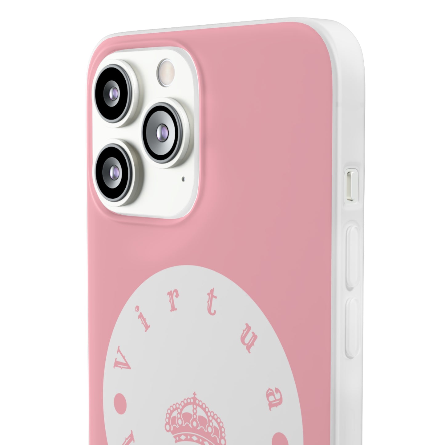 Virtua cases "salmon river"