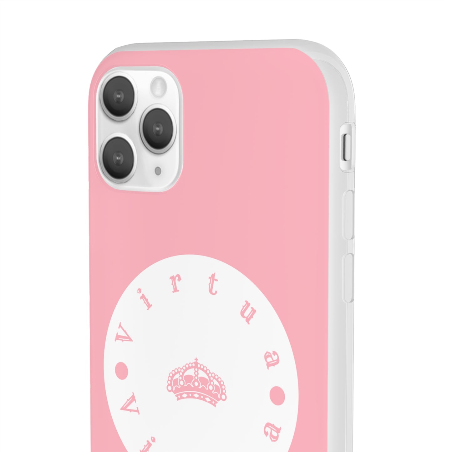 Virtua cases "salmon river"