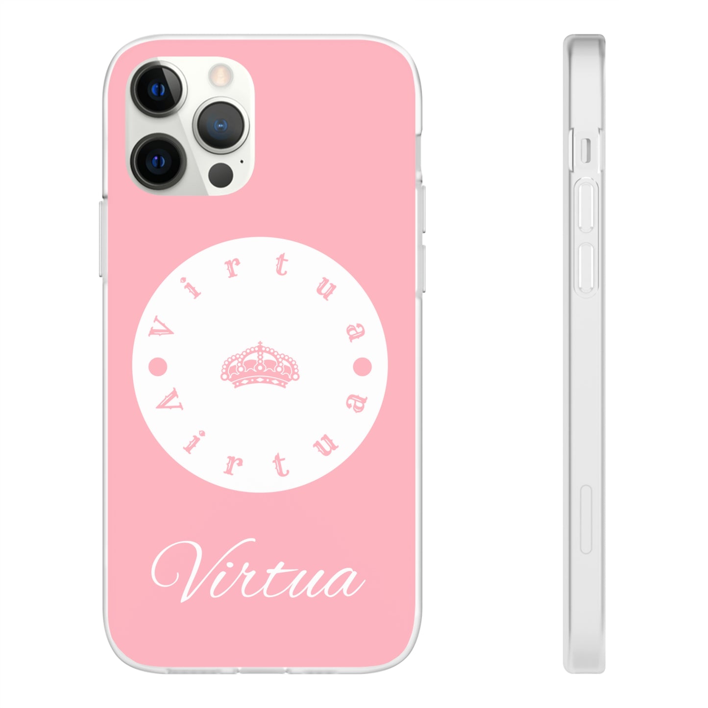 Virtua cases "salmon river"