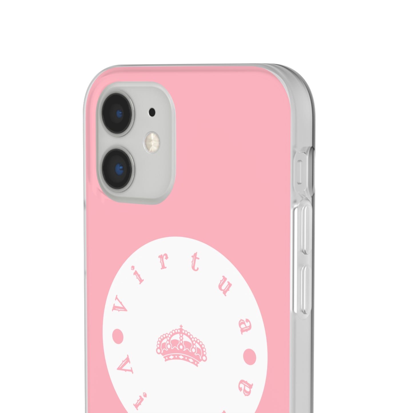 Virtua cases "salmon river"